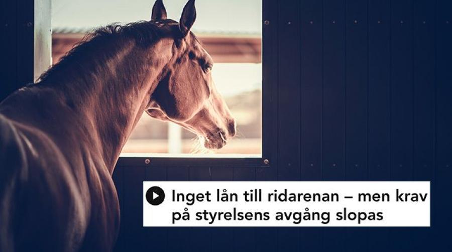 Foto: Adobe Stock