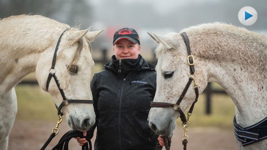 Video: Börja med frihetsdressyr – Madelene Friberg tipsar