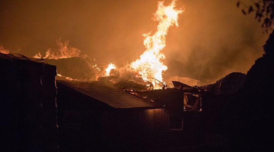 Arkivbild som inte har något med händelsen att göra. Foto: Adobe Stock