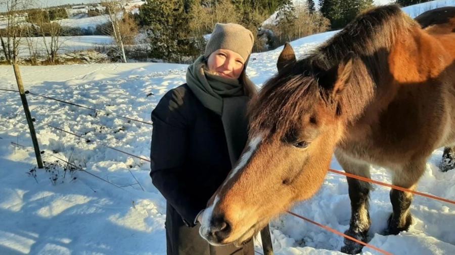 Norsk forskning visar att de som avlivar djur ofta har en högre sannolikhet för allvarliga självmordstankar