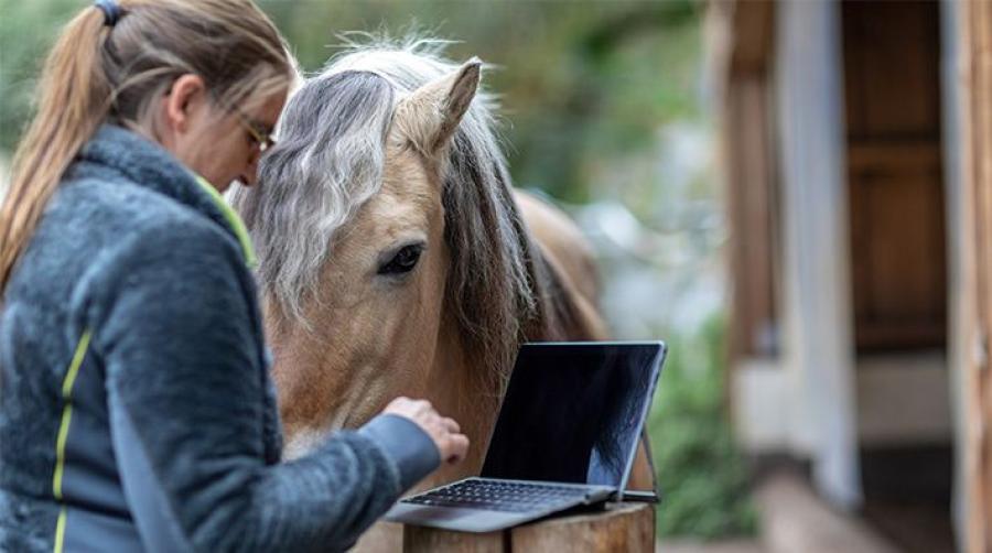 Foto: Adobe Stock