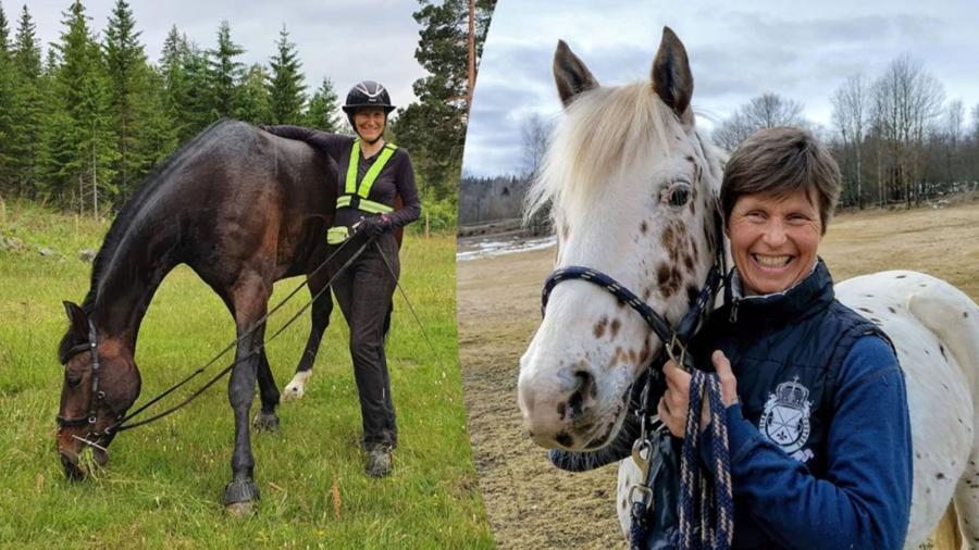 ”Det finns ganska många romantiserade och orealistiska attityder kring att hålla djur vid liv”