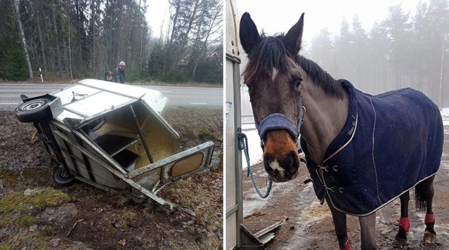 Dragkroksinfästningen gick sönder – Flisan slungades ur transporten: "Änglavakt"