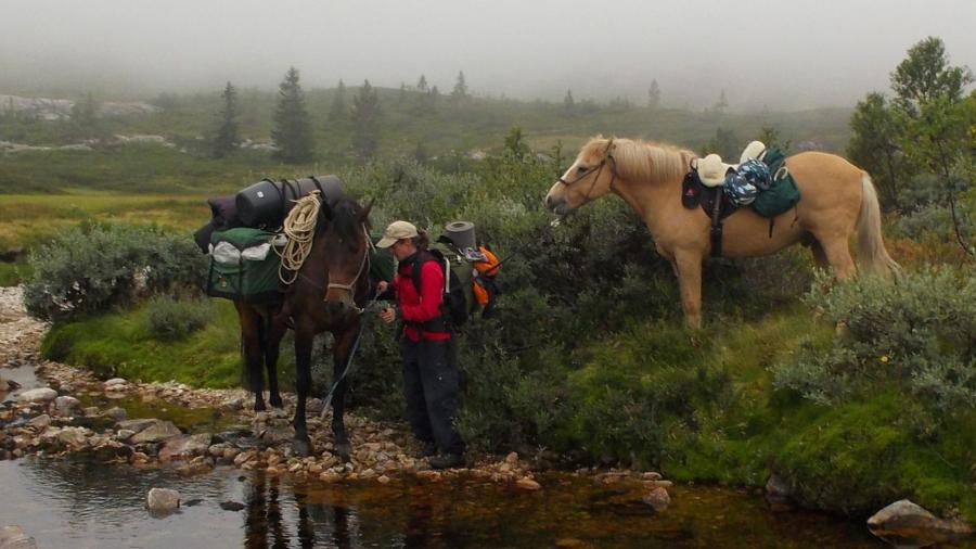 När hjärnskakningen inte försvinner: Heidi kunde inte rida på sju år