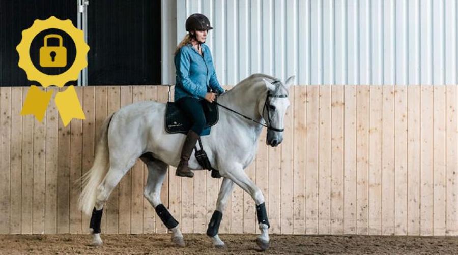 <p>Christina Drangel undervisar ryttare i kroppsmedvetenhet. Här tipsar hon om övningar som utvecklar känslan och som ger dig möjlighet att rida med lätta hjälper.<br /><strong>  </strong></p>