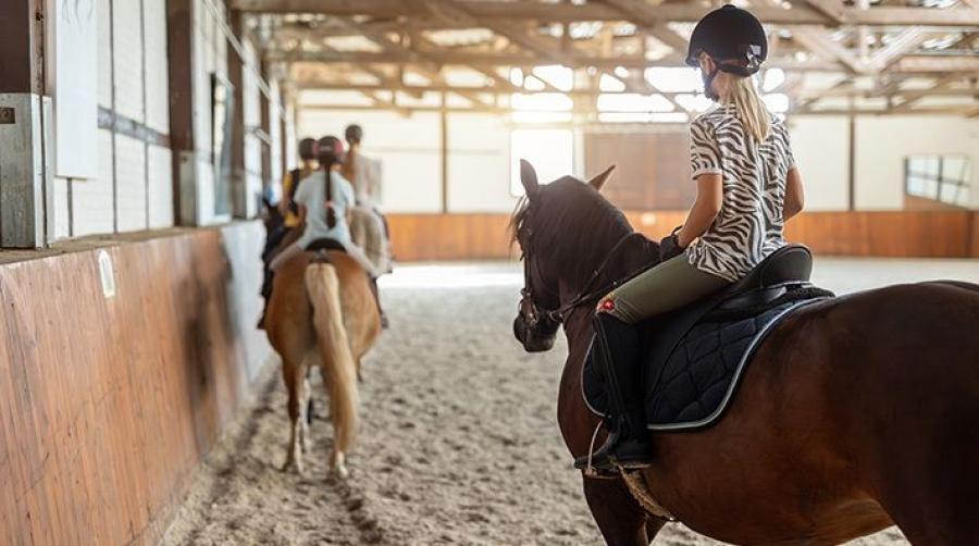 Foto: Adobe Stock