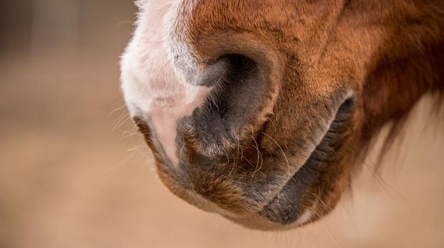 Genrebild: Adobe Stock