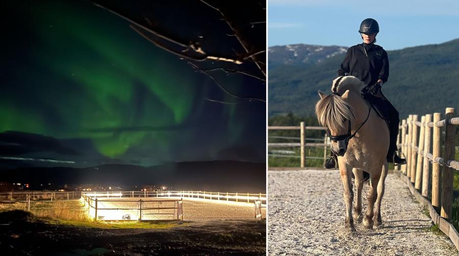Kreativ och prisvärd ridbanebelysning väcker uppmärksamhet