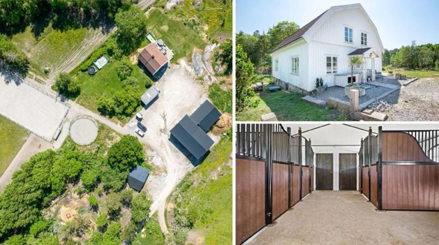 Mindre hästgård med fem boxar och ridbana