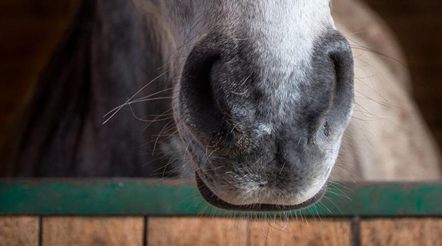 Genrebild: Adobe Stock