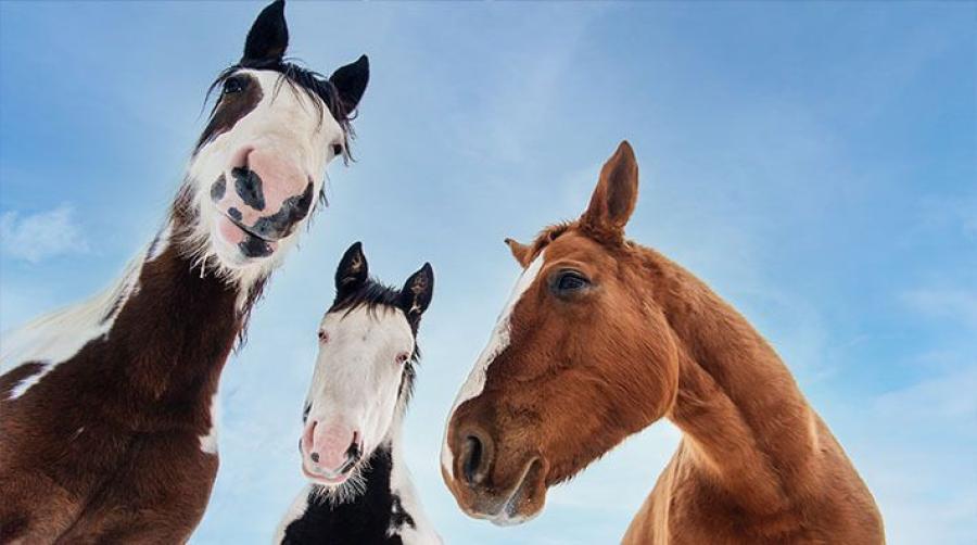 Genrebild: Adobe Stock