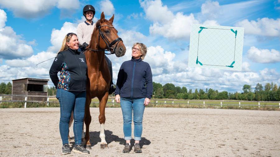 Stärk sits och framåtbjudning med kvartsvändningar