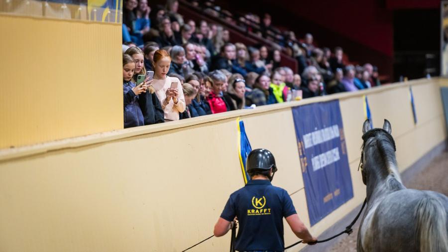 Så här tränar Eamon Hickey – stort bildspel från clinicen