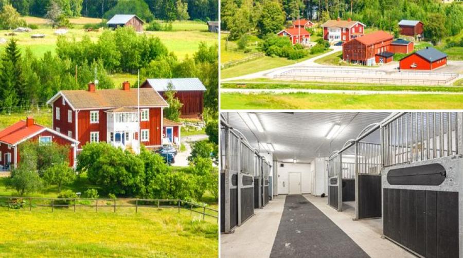 Idyllisk hästgård med hög charm