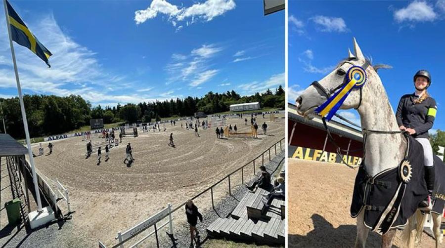 Förra årets tävlingar i Enköpingsnäs.