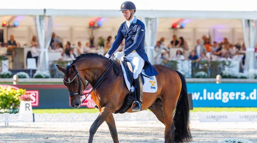 Arkivfoto: Holcbecher