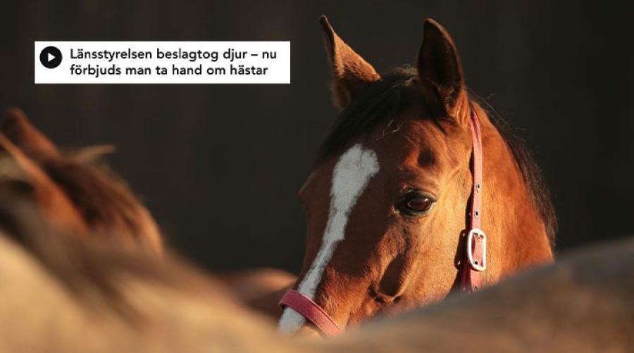 Genrebild som inte har med händelsen att göra: Adobe Stock
