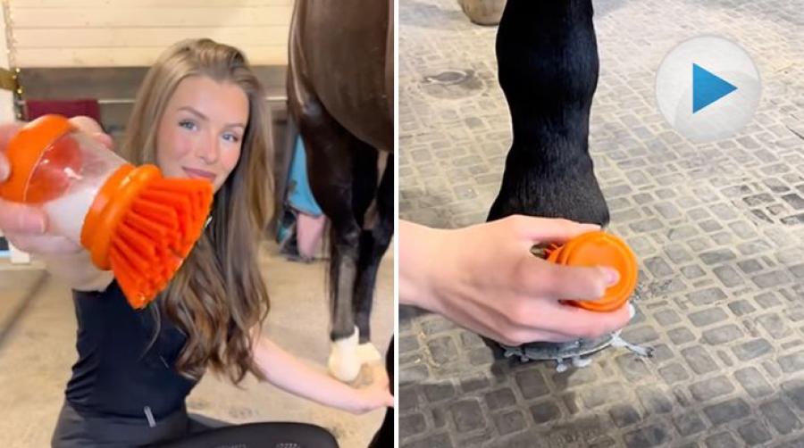 <p>Dressyrryttaren Ebba Nilsson har hittat en smart diskborste. Ett perfekt stallhack för att inte behöva släpa många grejer vid tvätt av hovarna.