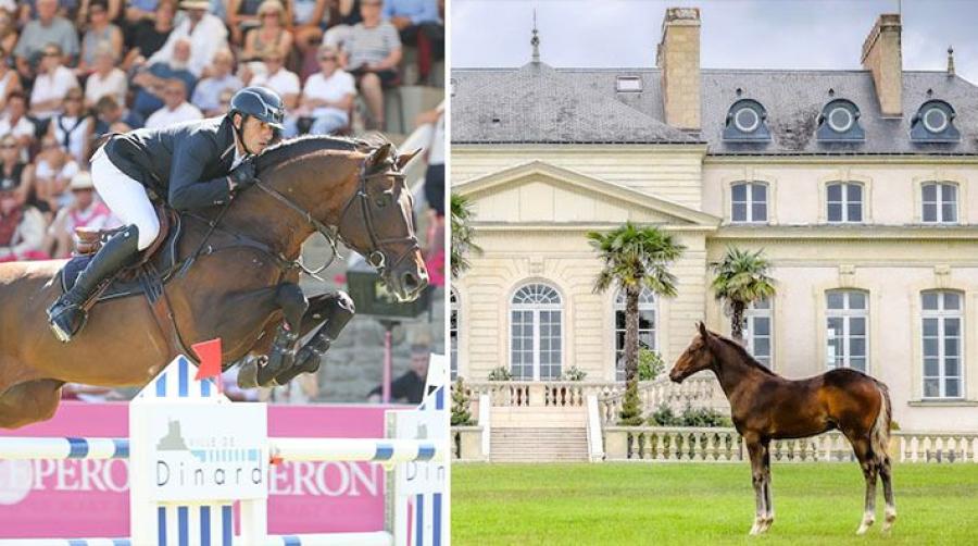 Pressfoton: Haras de Hus