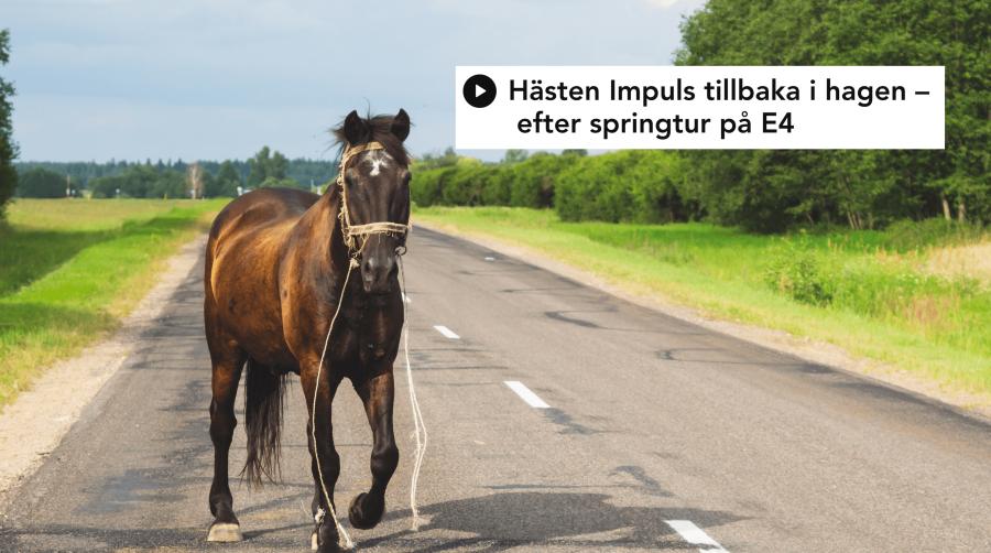 Genrebild som inte har något med händelsen att göra. Foto: Adobe Stock