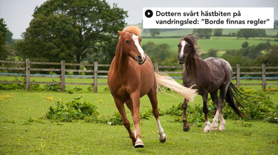 Genrebild som inte har med händelsen att göra: Adobe stock