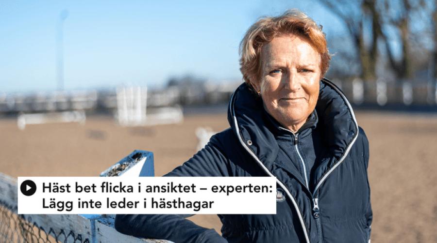 Foto: Christoffer Borg Mattisson/Bildbyrån