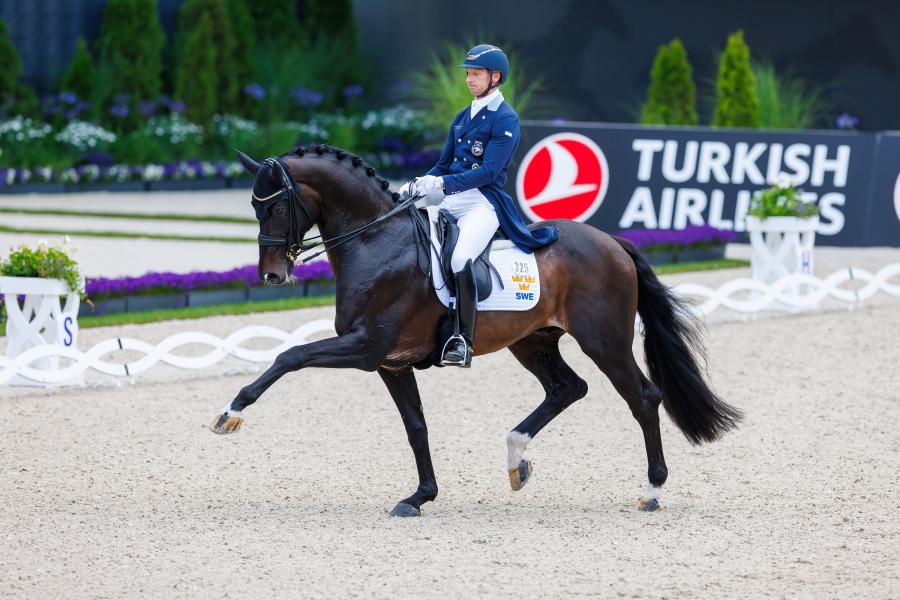 Patrik Kittel och Jovian. Foto: Tomas Holcbecher