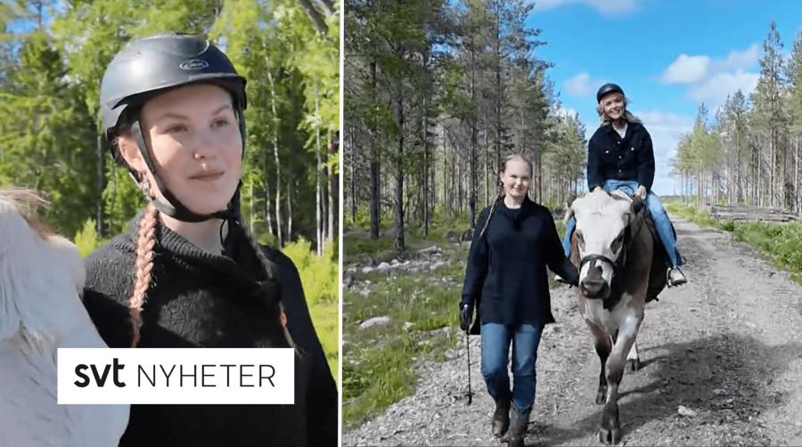 Skrämavbilder från klippet