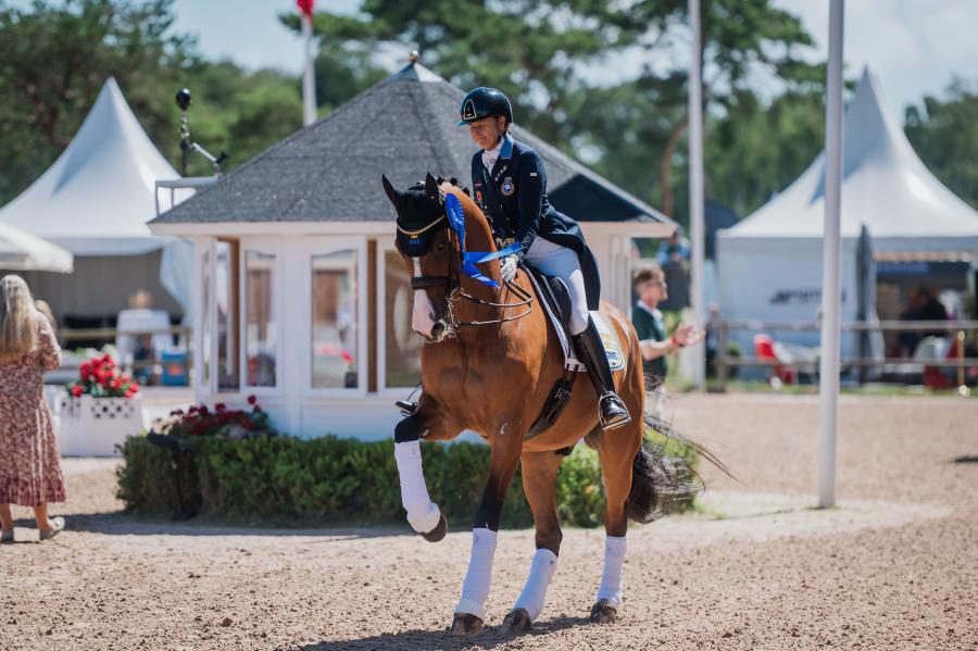 Tinne Vilhelmson Silfvén och Devanto har tagit två fina placeringar i helgen. Foto: Ida Lindemann