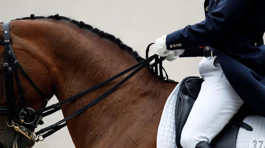 Tygelspänning varierar mellan proffsryttare