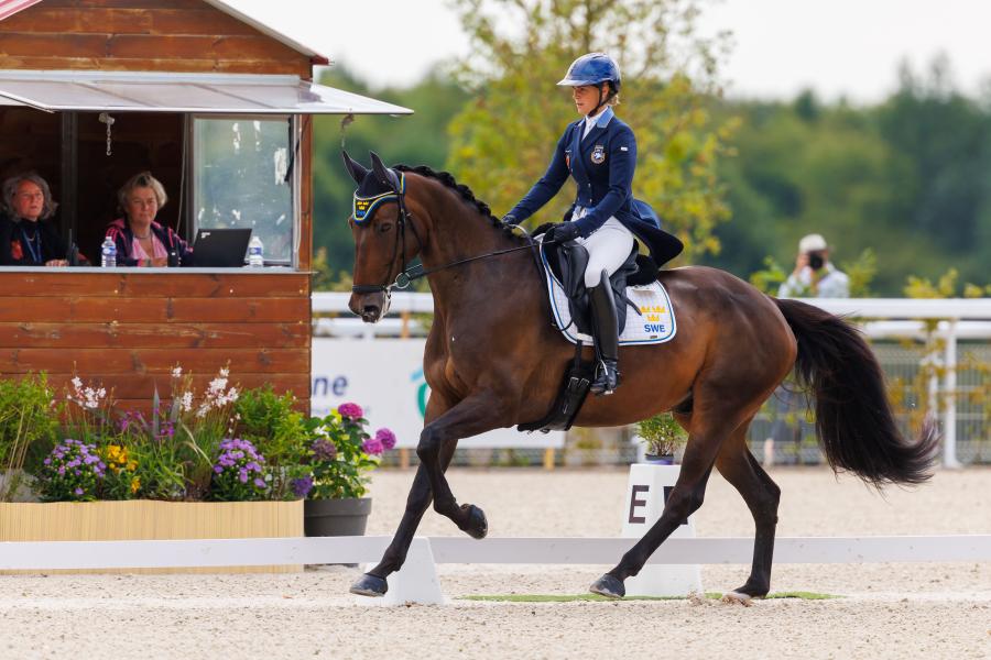 Frida Andersén och Box Leo. Foto: Tomas Holcbecher