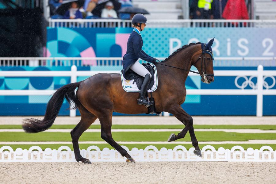Frida Andersén och Box Leo. Foto: Tomas Holcbecher