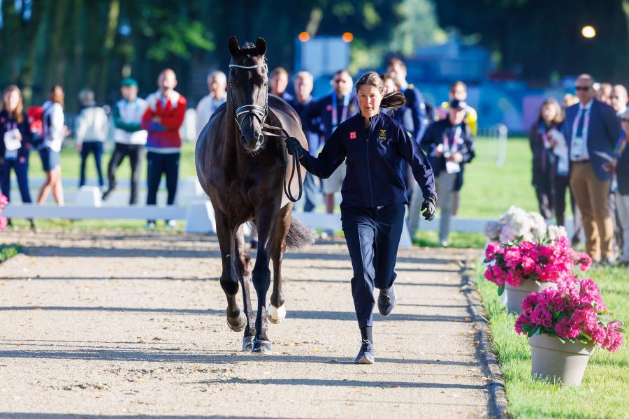 Invoice och Maria von Essen springer upp för veterinärbesiktning. Foto: Tomas Holcbecher