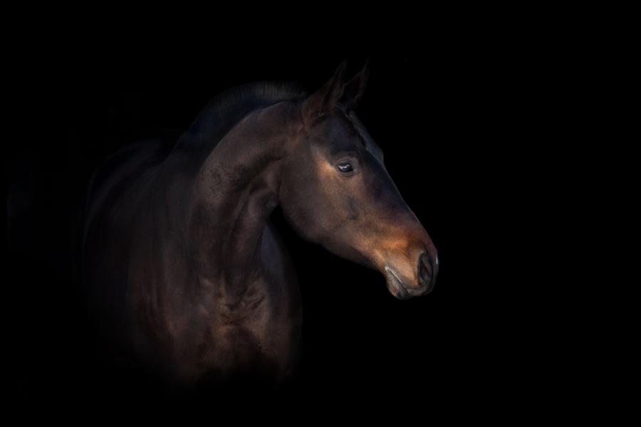 Genrebild: Adobe Stock