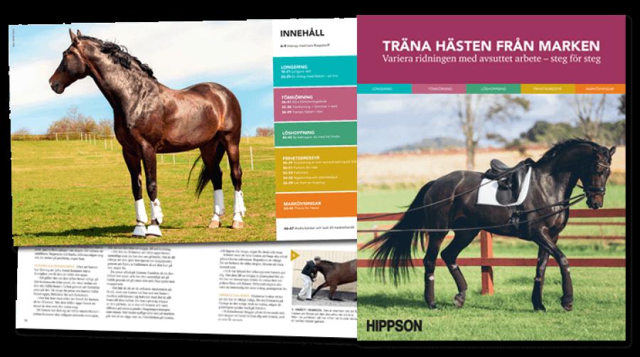 NY TRÄNINGSBOK - Träna hästen från marken