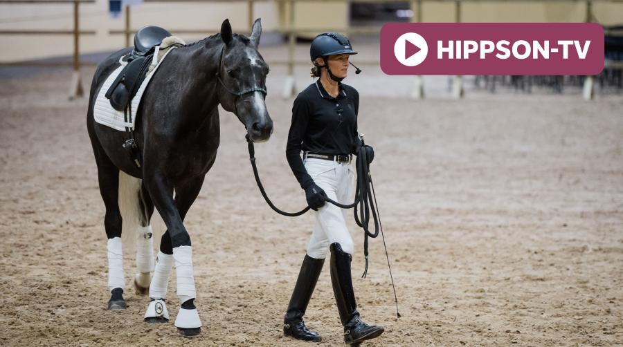 Hippson TV: Anna Blomgren om att träna unghästen