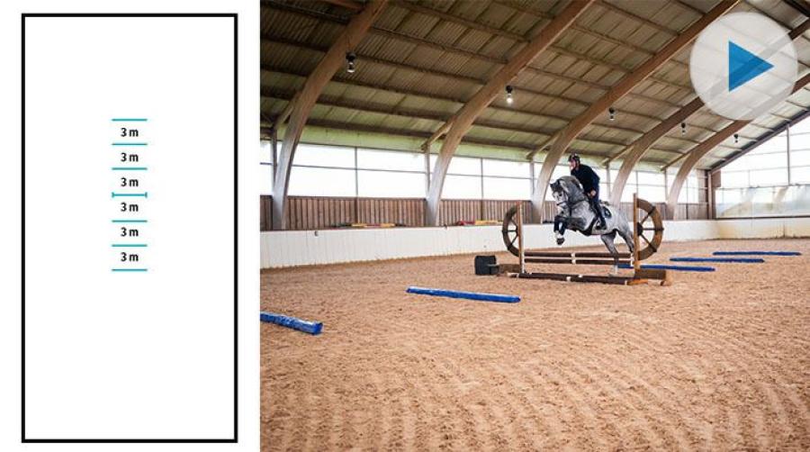 Pigg häst efter hinder – använd bommar