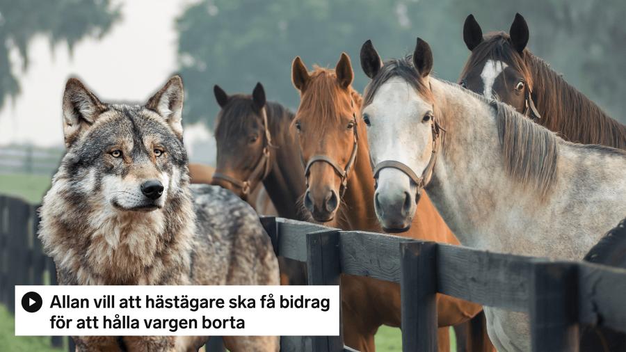 Genrebild: Adobe stock