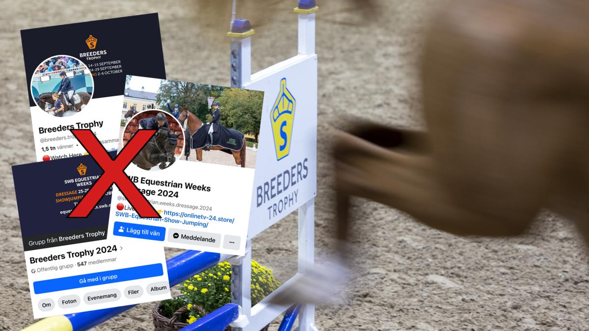 Fejkkonton drabbar SWB: "Jättetråkigt att vår identitet kapas"