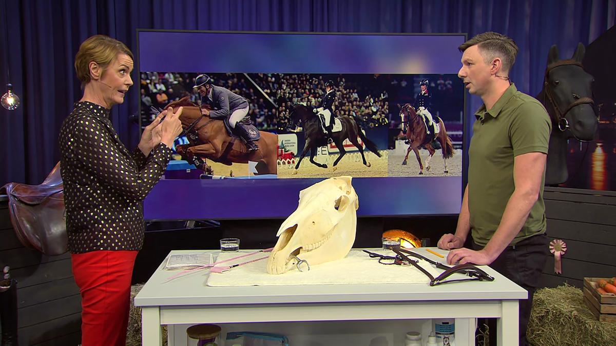 Veterinär Jeremias Wedin i SVT Go’kväll. Foto: SVT