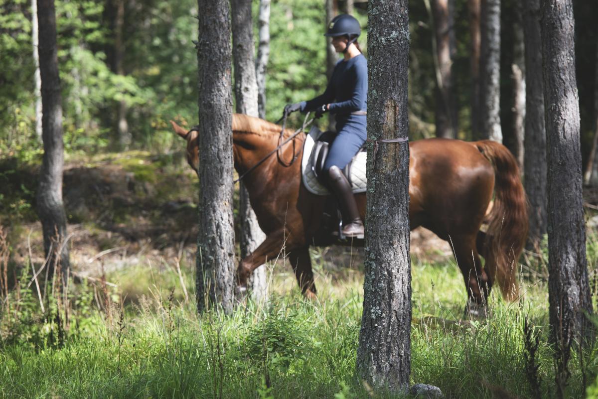 Foto: Natalie Lindholm