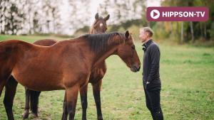 All in och Christian K delar pensionärslivet tillsammans. Foto: Ida Lindemann