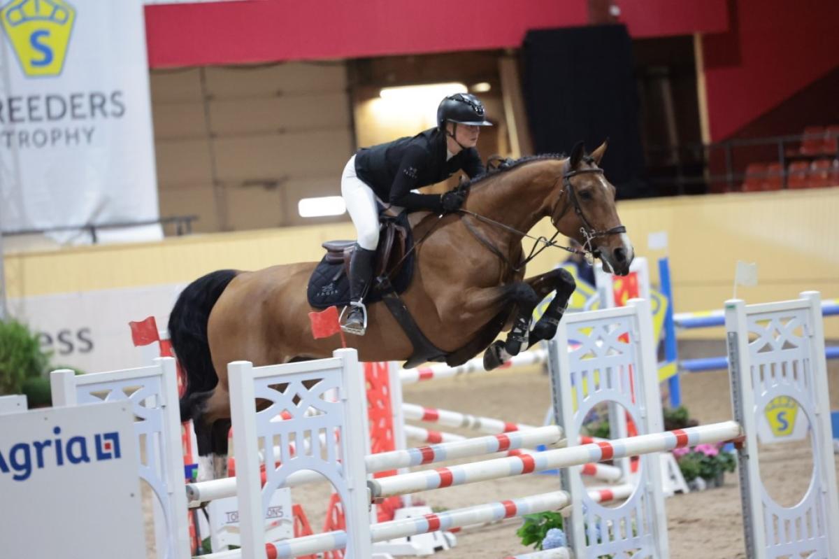 Hästen Zoey som Andrea kvalade till Scandinavium under Breeders. Foto: Roland Thunholm 