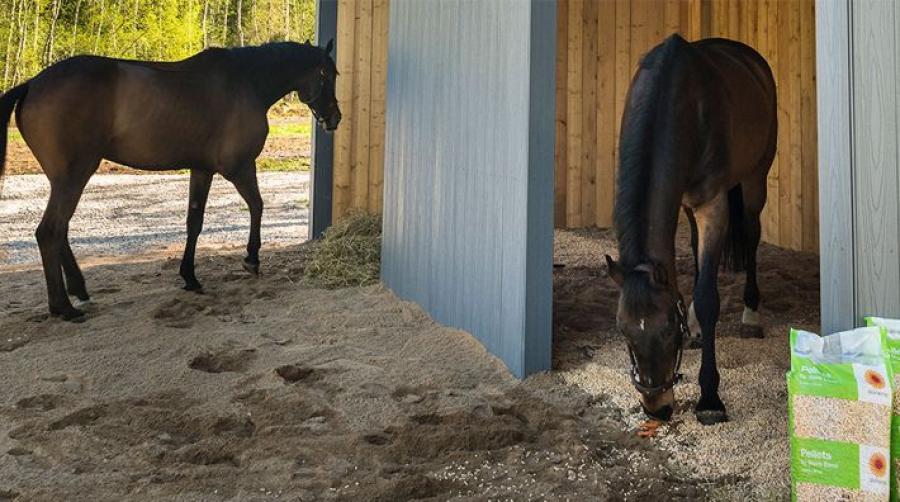 Dags för stallrenovering – tänk på detta vid val av material i boxarna