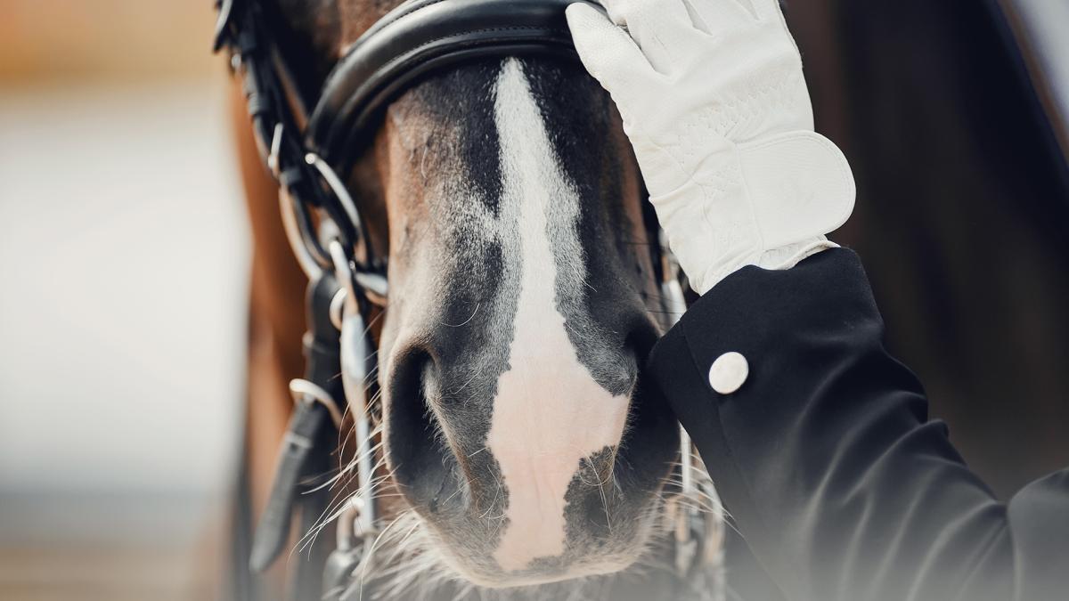 Foto: Genrebild/Adobe stock