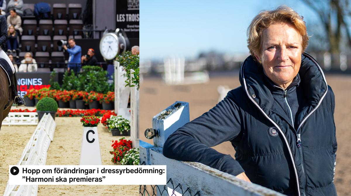 Arkivfoto: Tomas Holcbecher och Christoffer Borg Mattisson/Bildbyrån