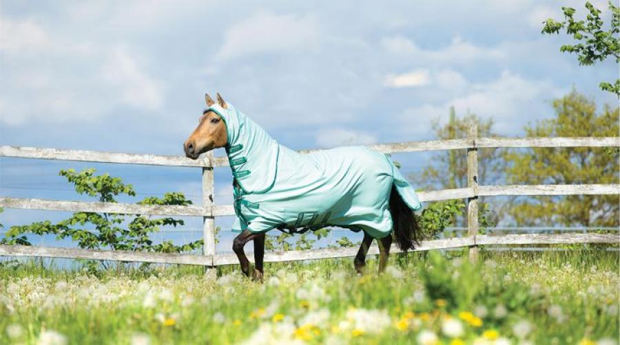 Flug- och eksemtäcket Rambo Sweet Itch Hoody från Horseware.