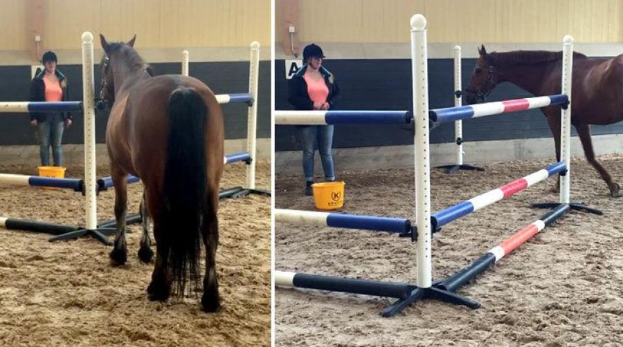 Vänster en häst som misslyckas och höger en som lyckas i ”detouren”. På bilderna syns även artikelns försteförfattare Josefine Henriksson. Foto: Lina Roth