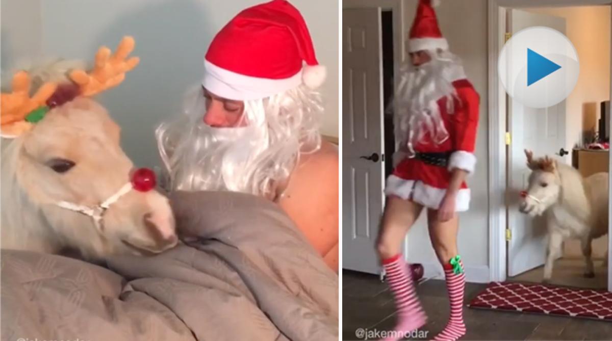 Den amerikanska hästtränaren och tomten Jake Nodar kan inte dölja hur peppad han är på julen. Vid sin sida har han som vanligt sin söta "julren".