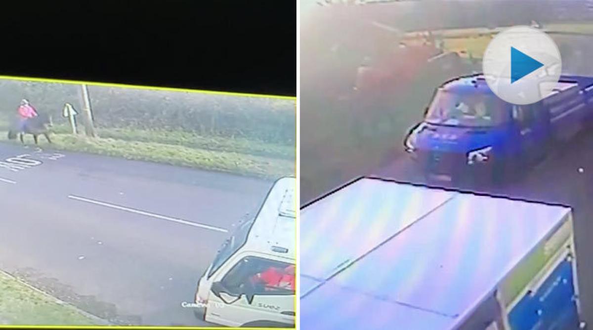 Den första lastbilen stannar men nästa försöker sig på en omkörning. Se 17-åriga Ruby Walker och femåriga Dante vara riktigt illa ute.